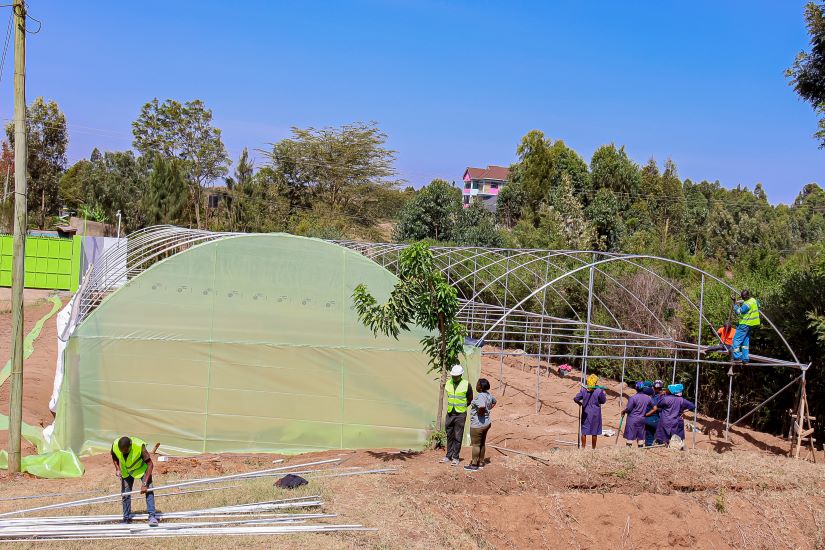 Amani Kesho Farm's practical training programme equips Kenyan farmers with the modern greenhouse and hydroponic skills needed to grow premium capsicum — and build profitable, resilient agricultural businesses.